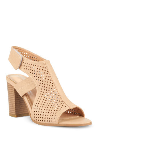 Dutch Beige